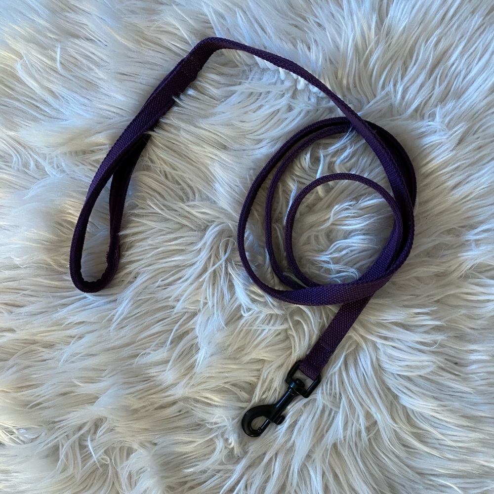 Basic purple pet leash